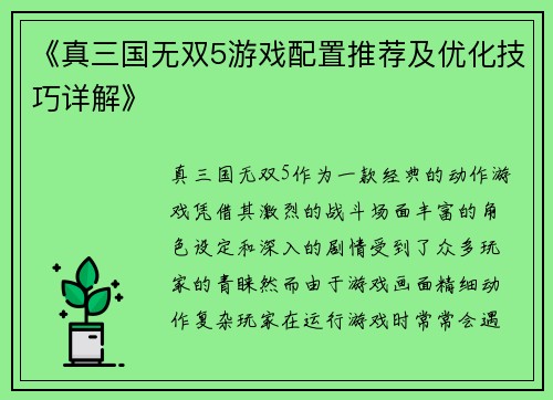 《真三国无双5游戏配置推荐及优化技巧详解》